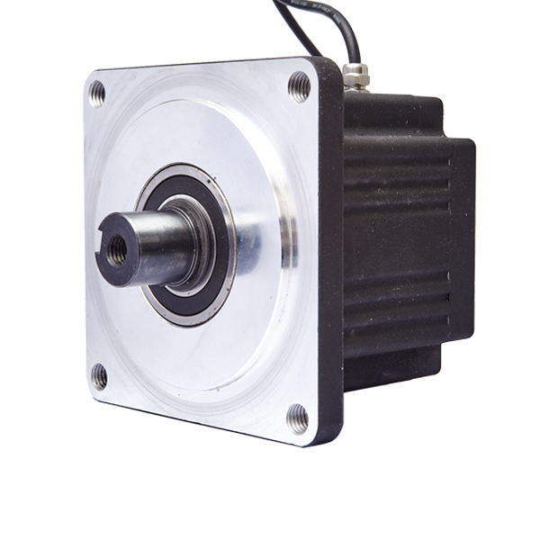 Brushless (BLDC) motor for automatic sliding door 80NM Heavy duty